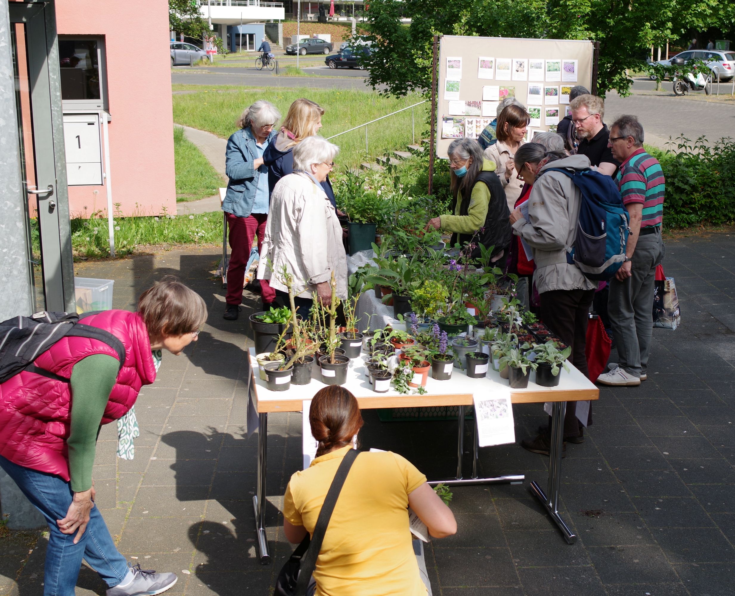 Pflanzenbörse Image